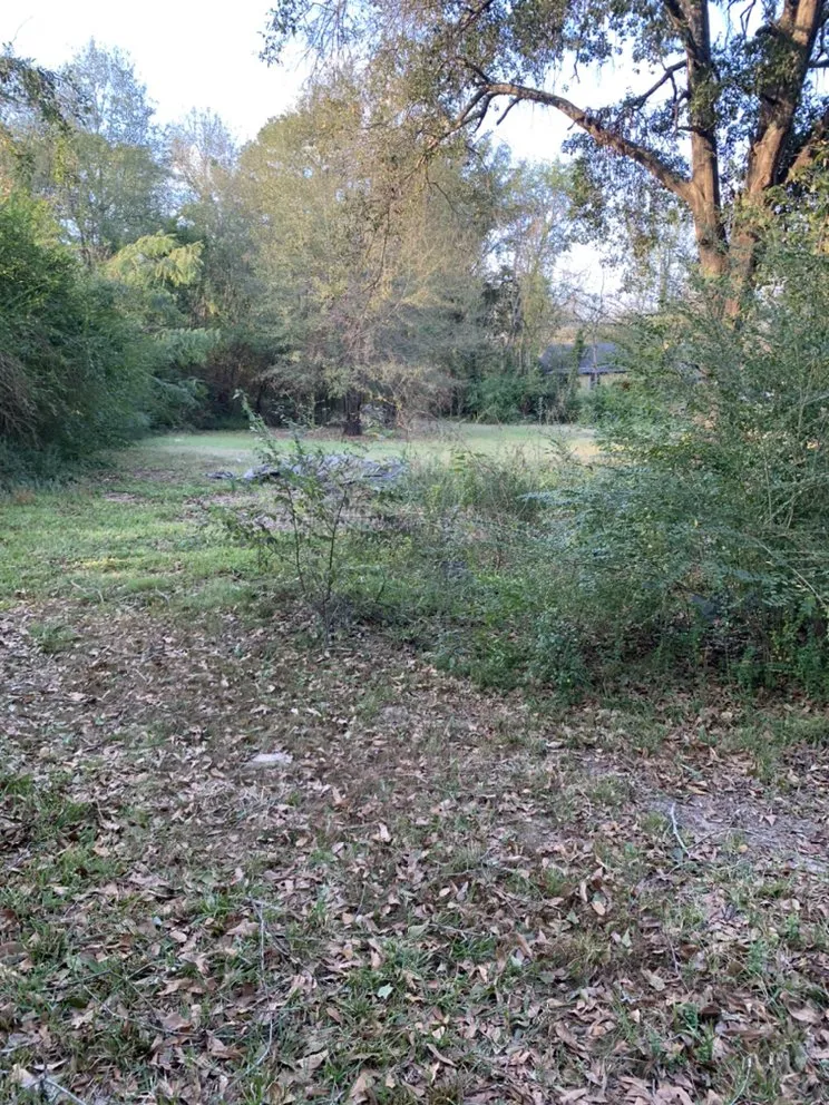 Top-rated garden landscaping for beautiful yards across Arp, TX - 4k's Enterprises