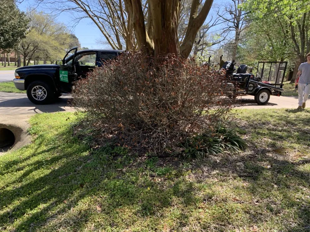 Reliable landscape design for residential properties in Arp, TX by 4k's Enterprises