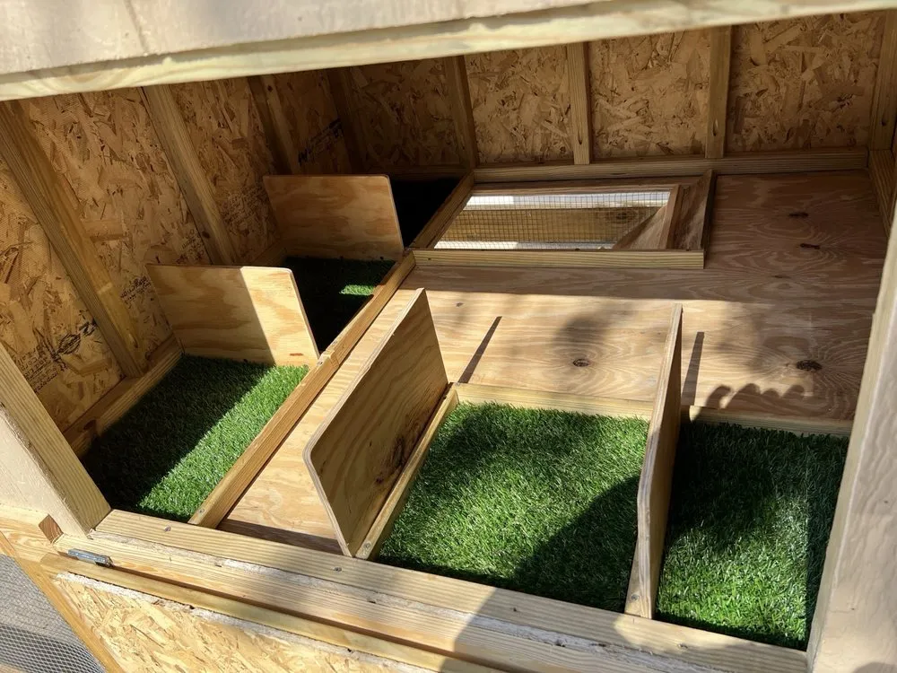 Affordable yard cleanup service in San Antonio, TX by 4M Land Services & Construction