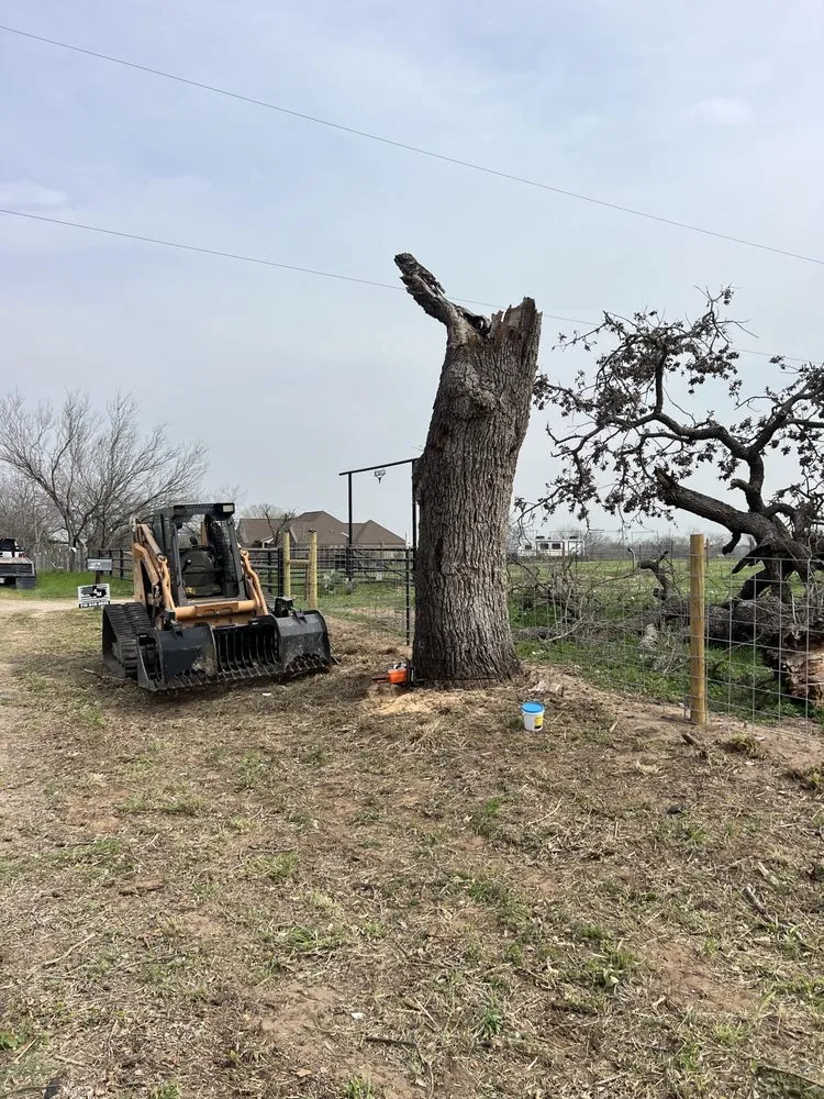 Local yard cleanup service experts serving San Antonio, TX - 4M Land Services & Construction