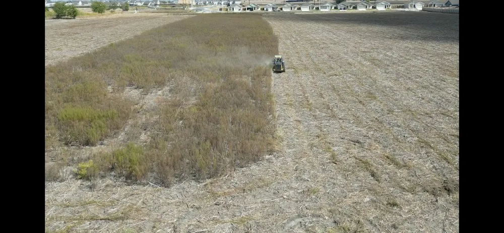 Trusted landscape installation near you in San Antonio, TX by 4M Land Services & Construction