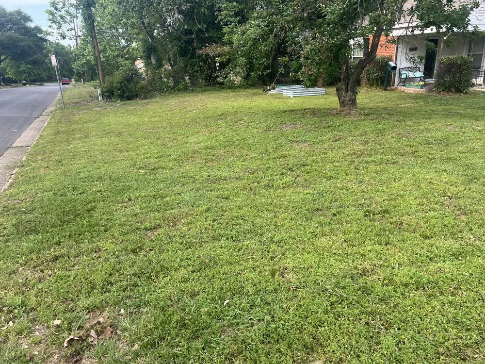 Reliable lawn mowing service experts serving Flint, TX - 4Migos Landscaping