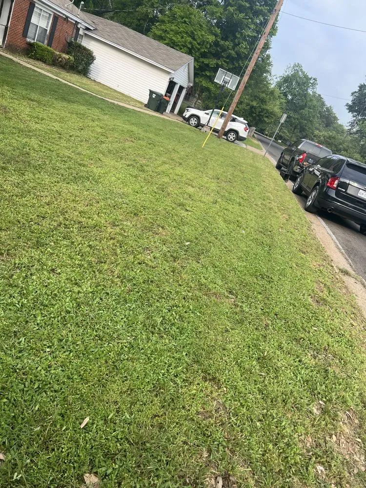Reliable lawn care service in Flint, TX - 4Migos Landscaping