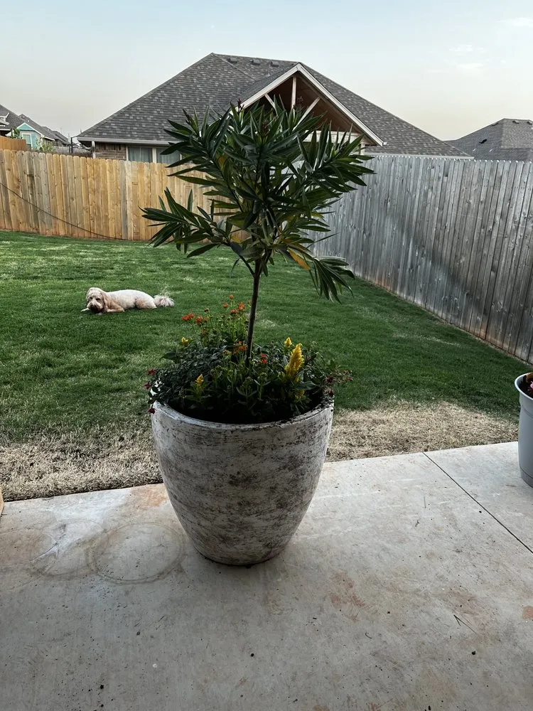 Custom lawn mowing service near you across Oklahoma City, OK - 4N Landscapes