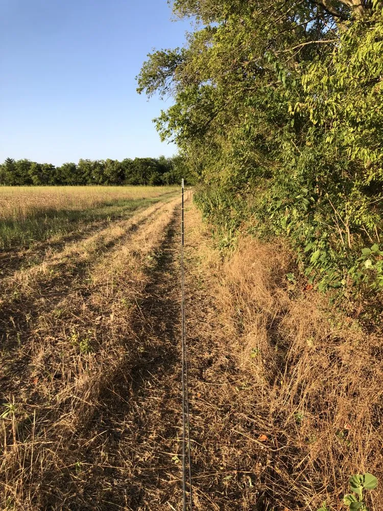 Reliable lawn mowing service in Grand Prairie, TX - 4P Lawn Care