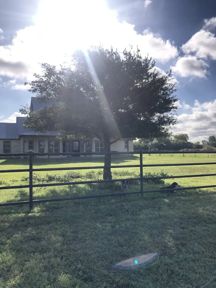 Expert landscape design in Grand Prairie, TX by 4P Lawn Care