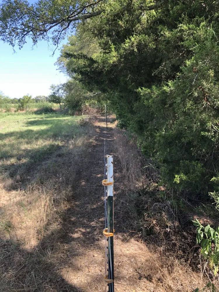 Trusted yard cleanup service experts serving Grand Prairie, TX - 4P Lawn Care