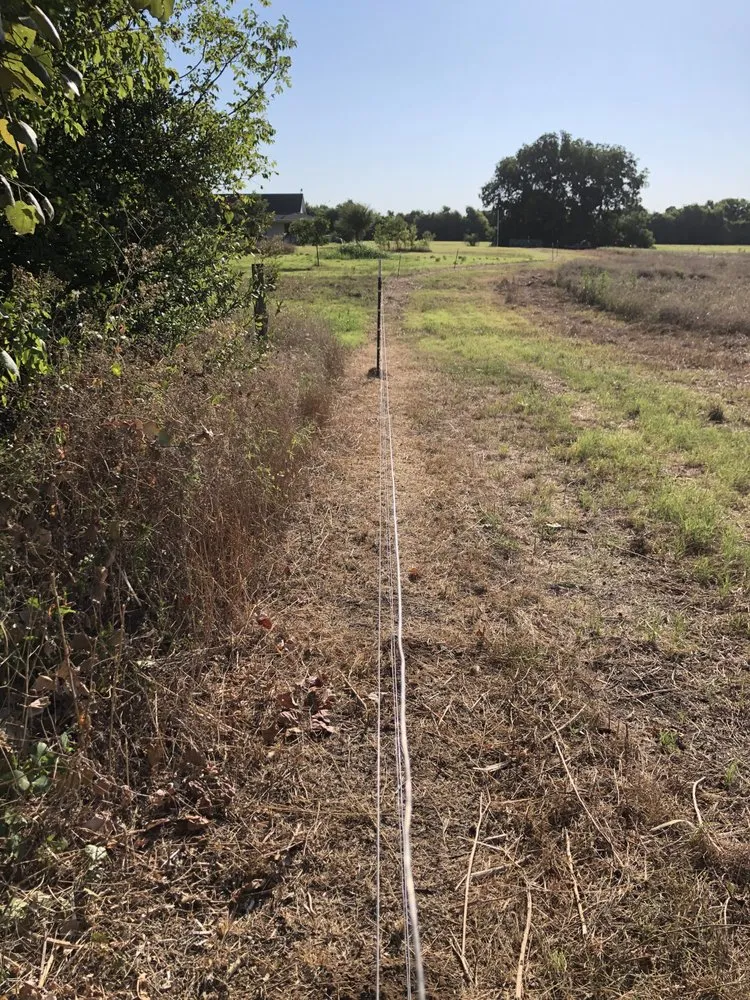 Professional lawn mowing service in Grand Prairie, TX by 4P Lawn Care