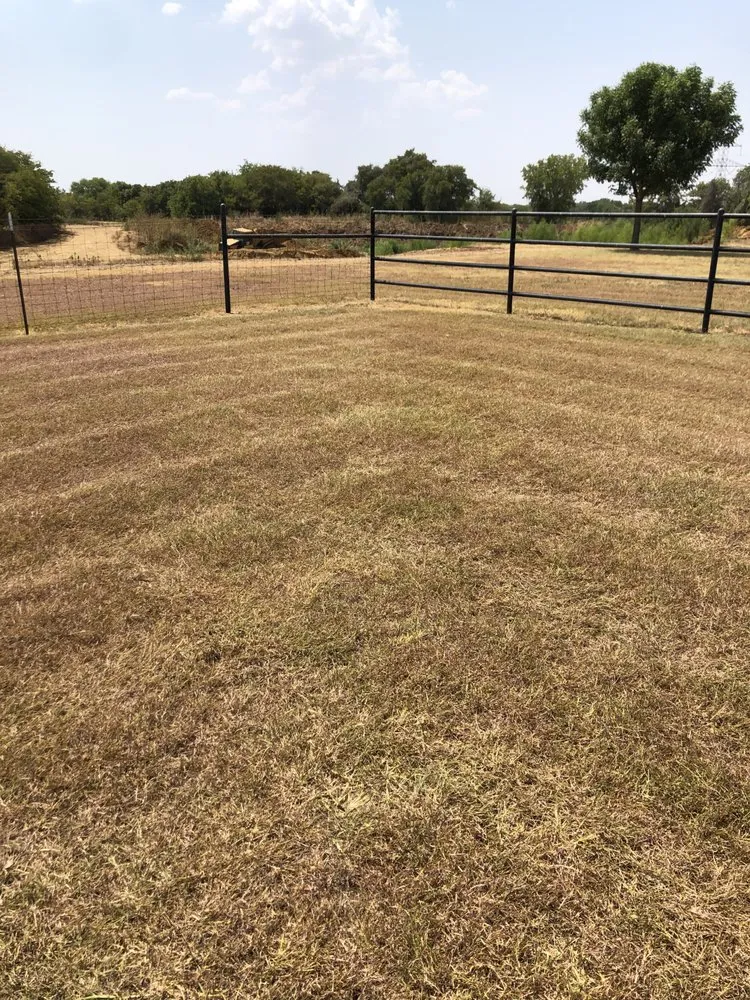 Affordable yard maintenance experts serving Grand Prairie, TX - 4P Lawn Care