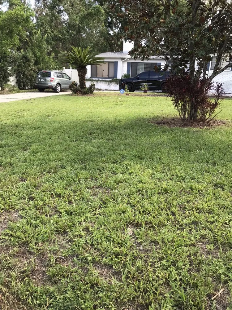 Custom lawn mowing service for homes in Tampa Bay, FL by 4P Solutions
