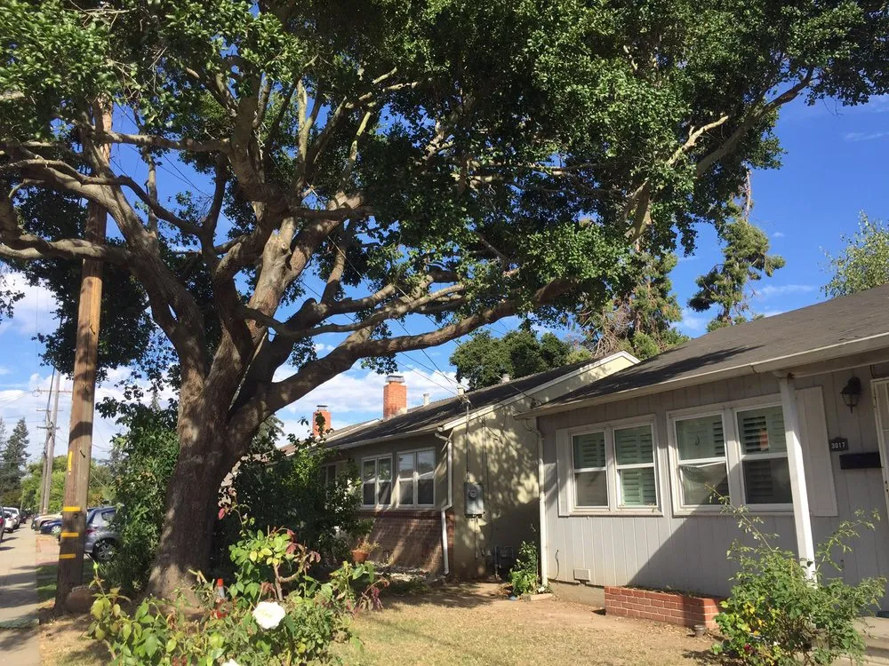 Affordable lawn mowing service in Hayward, CA - 4Points Landscaping & Tree Service