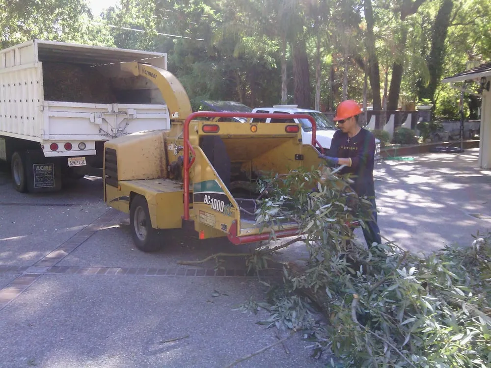 Reliable lawn care service experts serving Hayward, CA - 4Points Landscaping & Tree Service