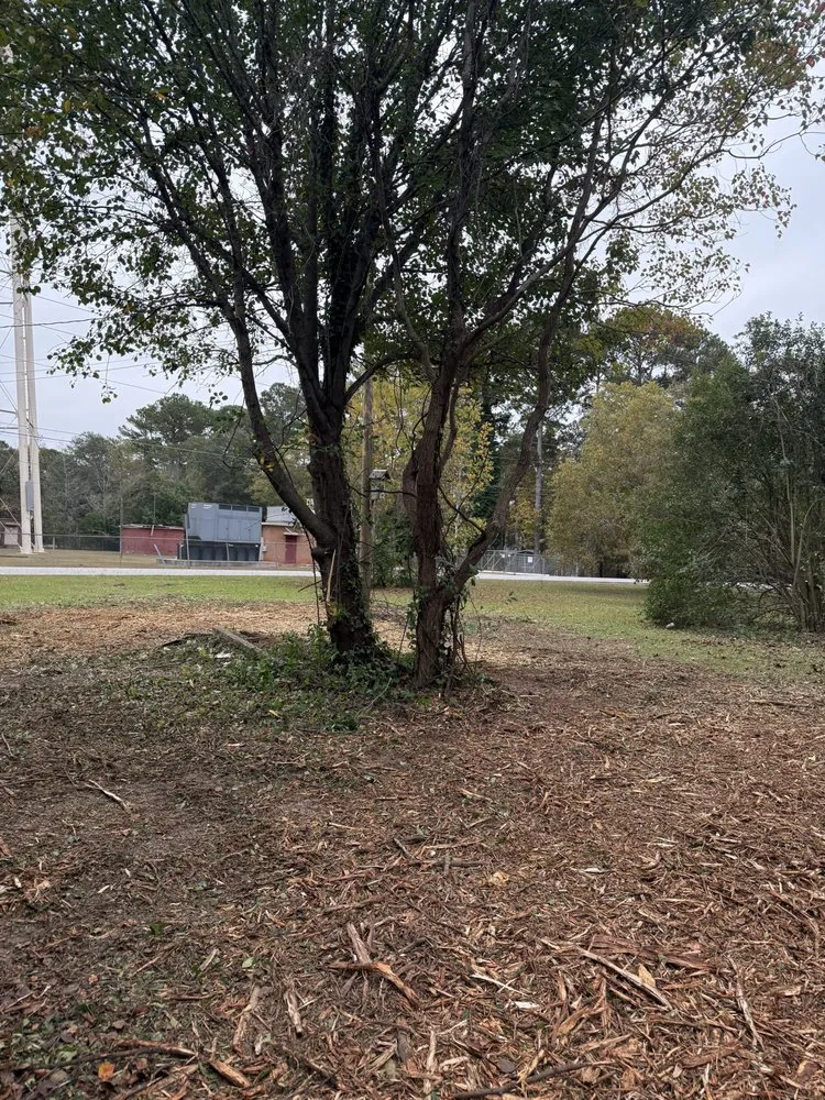 Trusted lawn mowing service in Fort Valley, GA - 4R Land Service