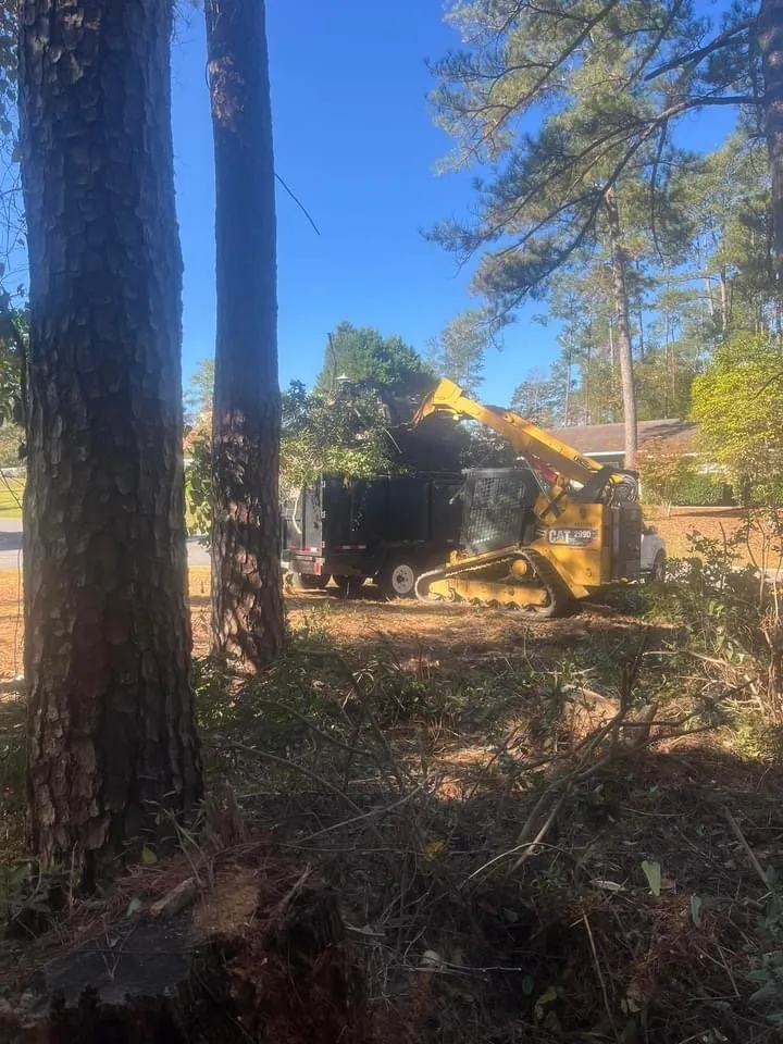 Trusted yard cleanup service experts serving Fort Valley, GA - 4R Land Service