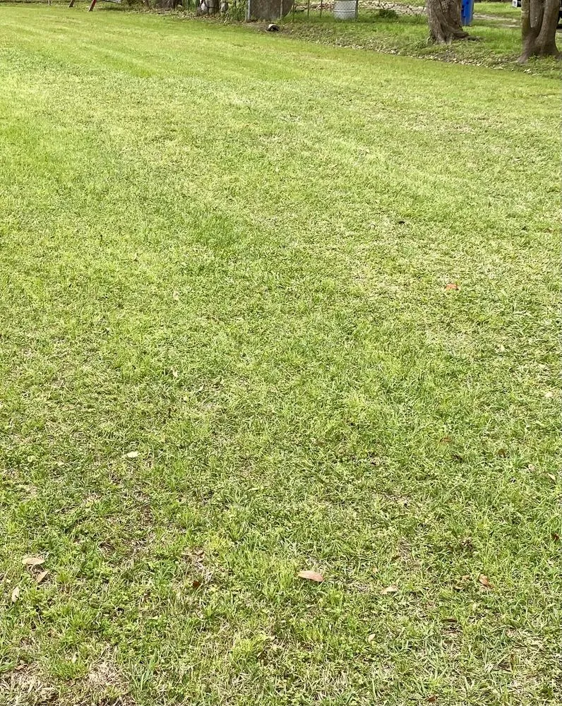 Professional lawn mowing service in Prattville, AL by 4S Solutions Lawn Care