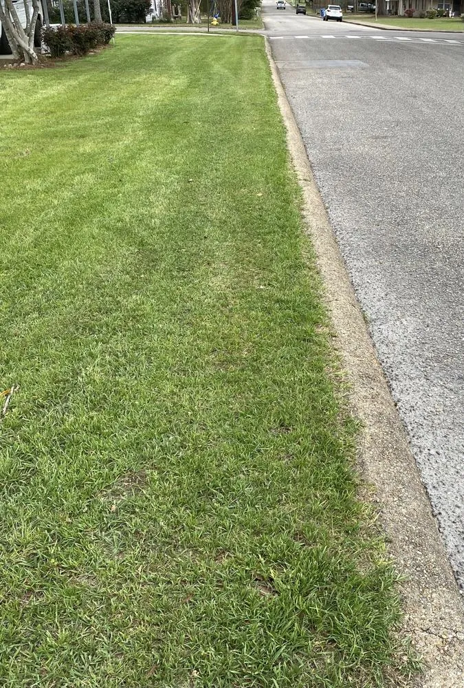 Custom residential landscaping experts serving Prattville, AL - 4S Solutions Lawn Care