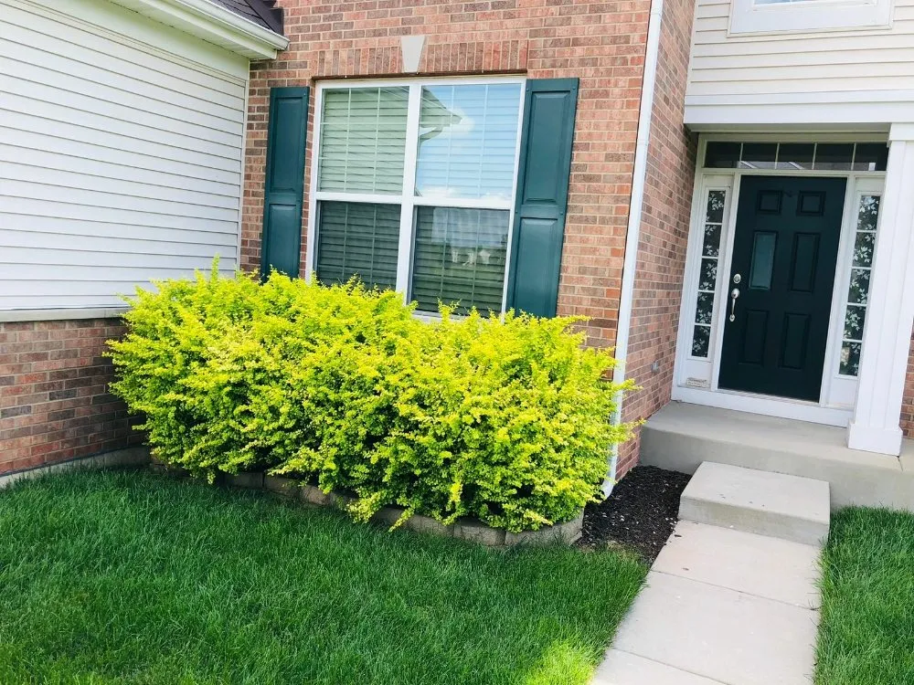 Local yard maintenance for outdoor upgrades in McHenry, IL by 4season R&R Landscaping