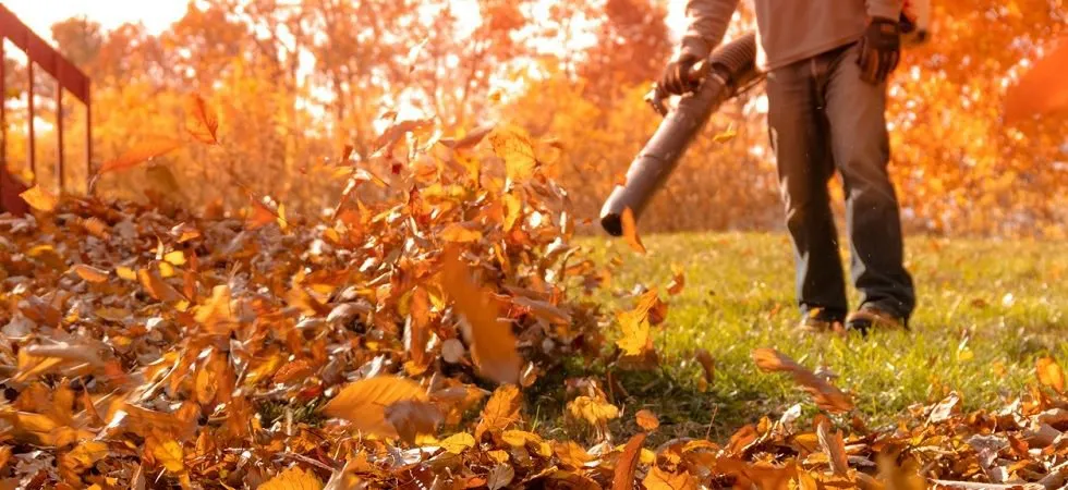 Professional lawn care service for homes across Muskegon, MI - 4Seasons Express Landscaping Services