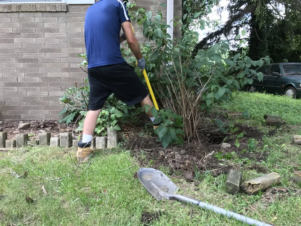 Local landscaping services experts serving Pittsburgh, PA - 4Seasons PGH