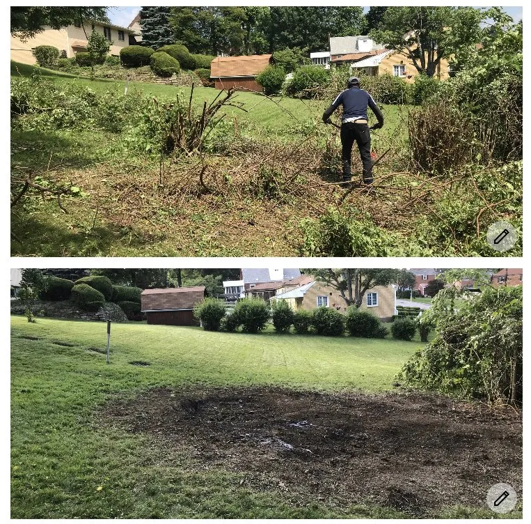 Top-rated yard cleanup service for homes in Pittsburgh, PA by 4Seasons PGH