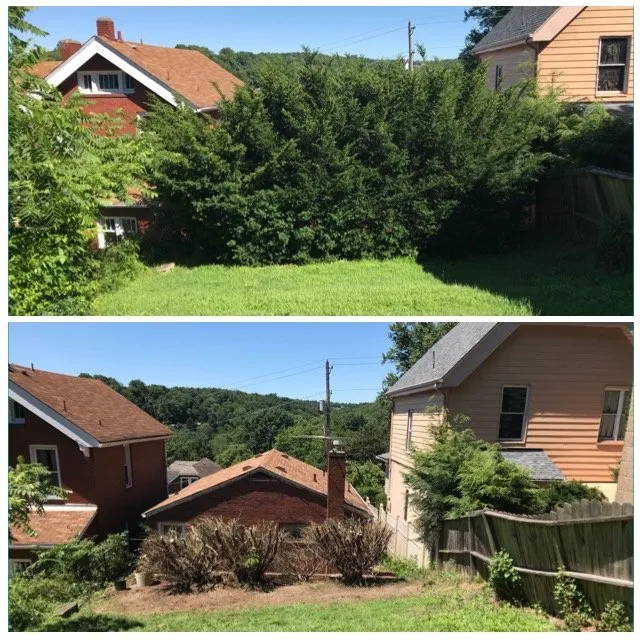 Affordable yard maintenance in Pittsburgh, PA - 4Seasons PGH