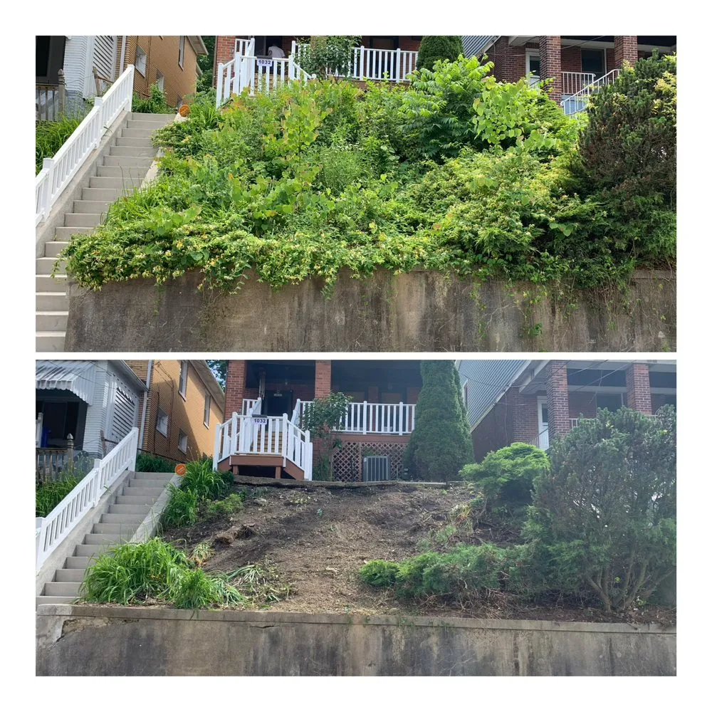 Affordable yard cleanup service experts serving Pittsburgh, PA - 4Seasons PGH