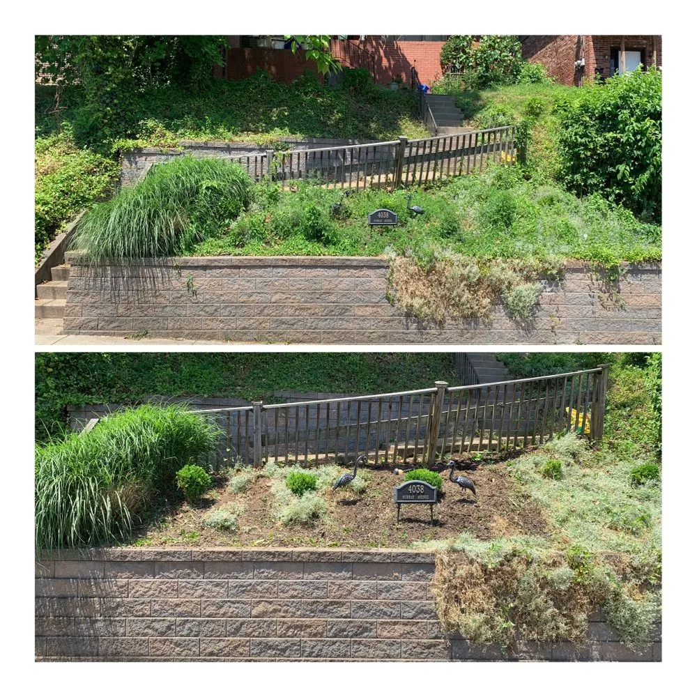 Local landscape design for beautiful yards across Pittsburgh, PA - 4Seasons PGH