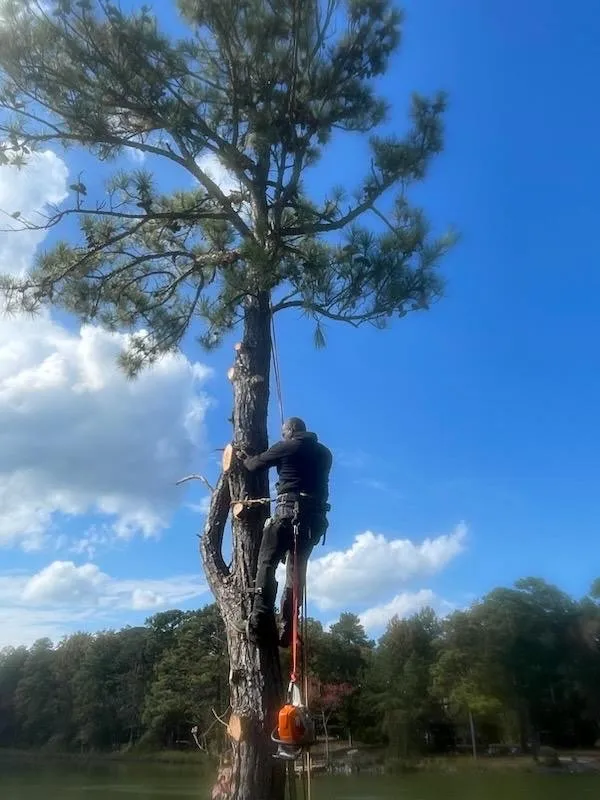 Professional outdoor landscaping for homes across Fredericksburg, VA - 4Seasonz Indoor/Outdoor Specialist