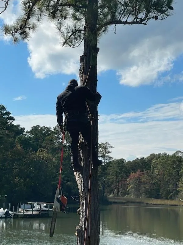 Reliable lawn care service with custom design across Fredericksburg, VA - 4Seasonz Indoor/Outdoor Specialist