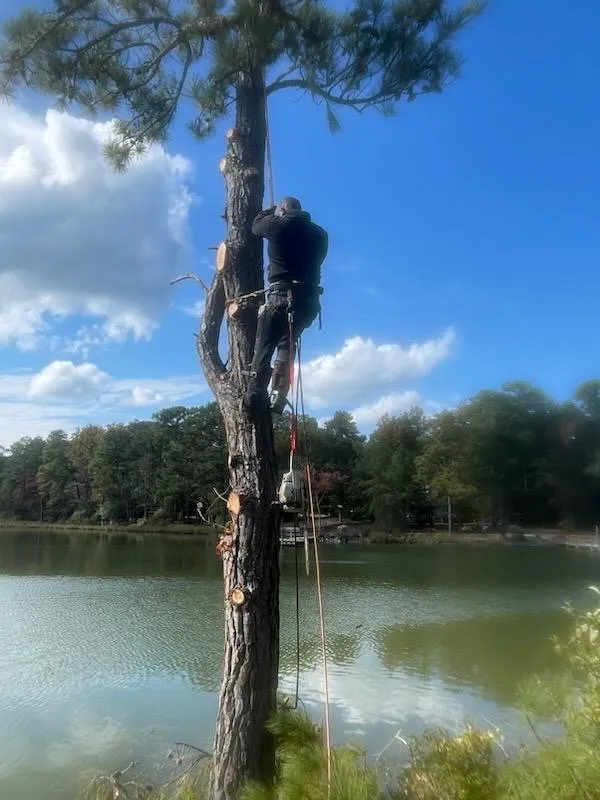 Professional yard maintenance near you in Fredericksburg, VA by 4Seasonz Indoor/Outdoor Specialist