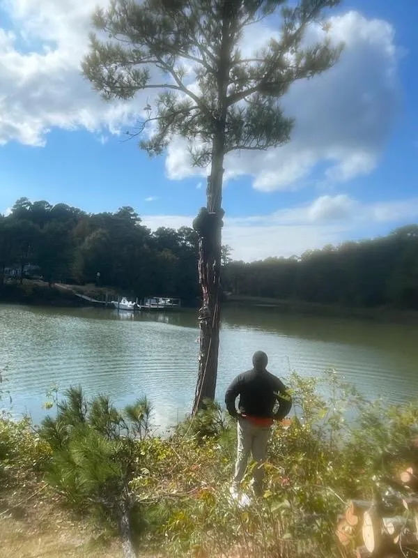 Expert yard cleanup service experts serving Fredericksburg, VA - 4Seasonz Indoor/Outdoor Specialist