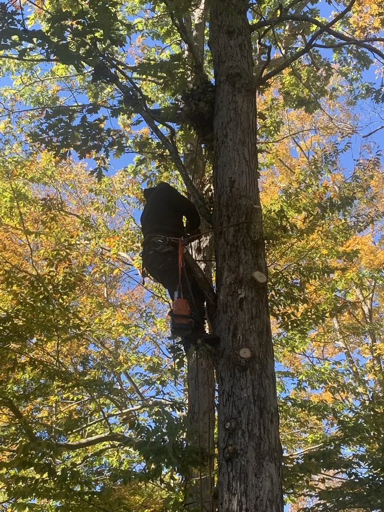 Local residential landscaping in Fredericksburg, VA - 4Seasonz Indoor/Outdoor Specialist