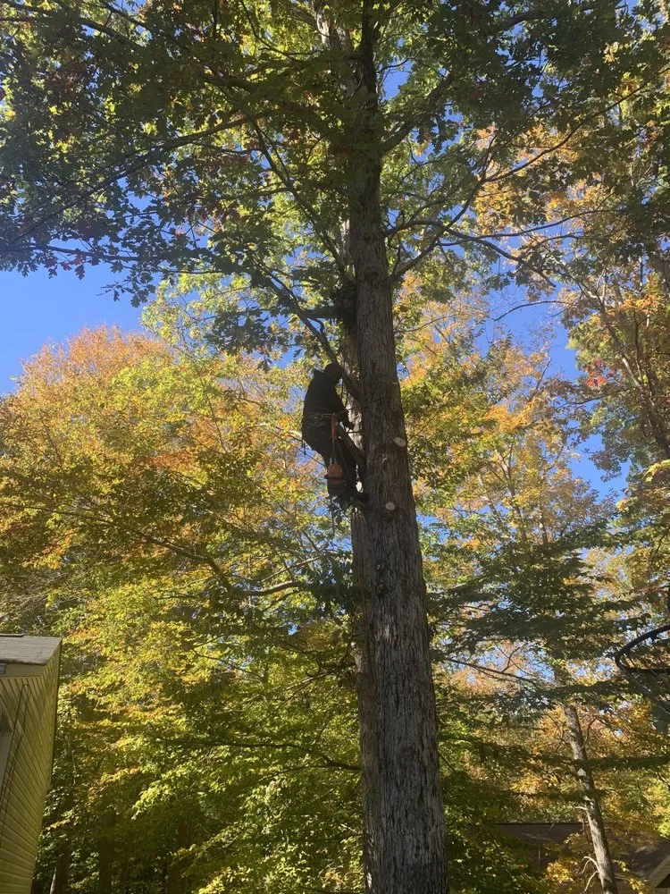 Top-rated garden landscaping in Fredericksburg, VA by 4Seasonz Indoor/Outdoor Specialist