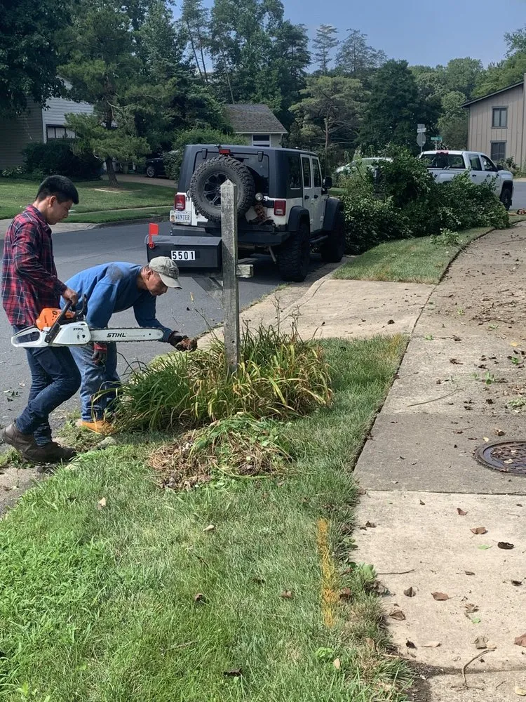 Professional yard cleanup service in Fredericksburg, VA by 4Seasonz Indoor/Outdoor Specialist