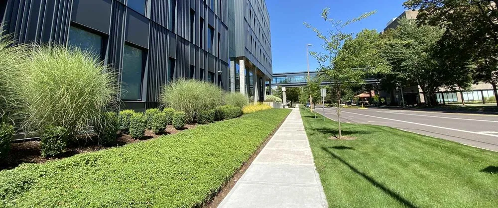 Expert lawn care service for beautiful yards in Indianapolis, IN by 5 Brother Yard Squad