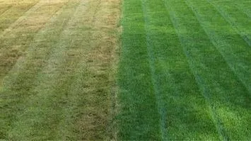 Local outdoor landscaping for beautiful yards across Indianapolis, IN - 5 Brother Yard Squad