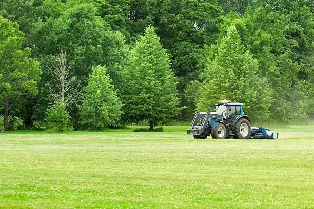 Local garden landscaping in Indianapolis, IN - 5 Brother Yard Squad