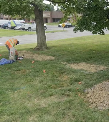 Affordable landscaping services for outdoor upgrades across Indianapolis, IN - 5 Brother Yard Squad
