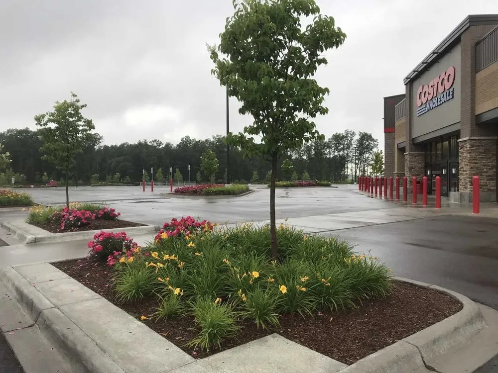 Reliable lawn care service for residential properties across Indianapolis, IN - 5 Brother Yard Squad