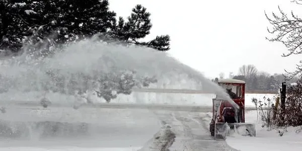 Affordable garden landscaping in Indianapolis, IN by 5 Brother Yard Squad