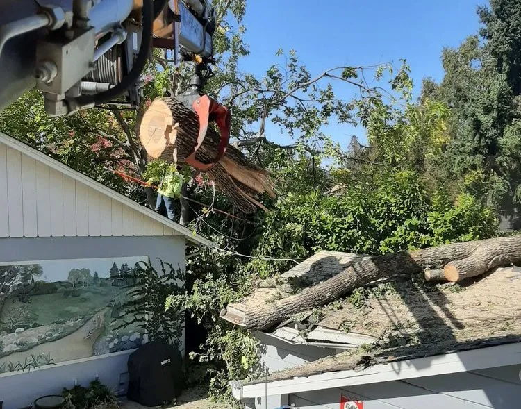 Reliable garden landscaping in Indianapolis, IN by 5 Brother Yard Squad