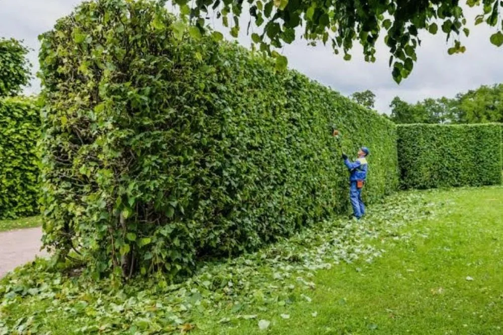 Reliable landscape installation in Keansburg, NJ by 5 Brothers Landscaping Services