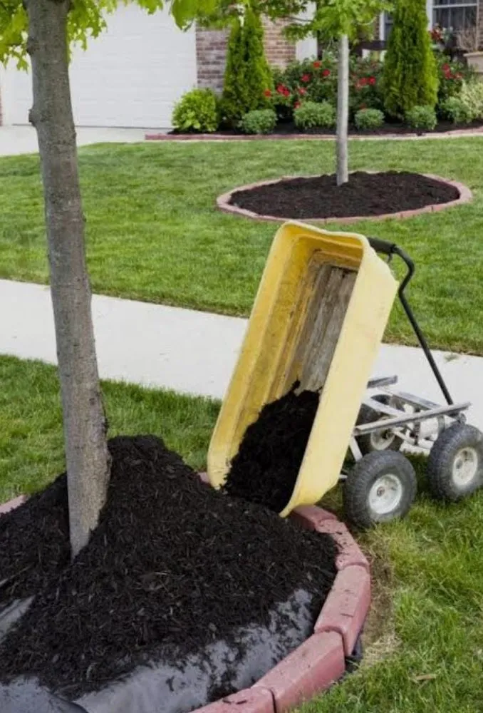 Custom yard maintenance with custom design in Keansburg, NJ by 5 Brothers Landscaping Services