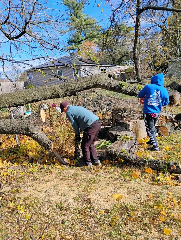 Top-rated lawn care service experts serving Keansburg, NJ - 5 Brothers Landscaping Services