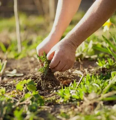 5 Brothers Landscaping Services