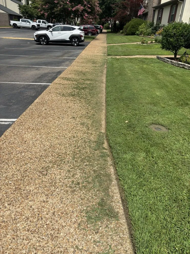 Custom yard cleanup service in Williamsburg, VA - 5 Brothers Lawncare