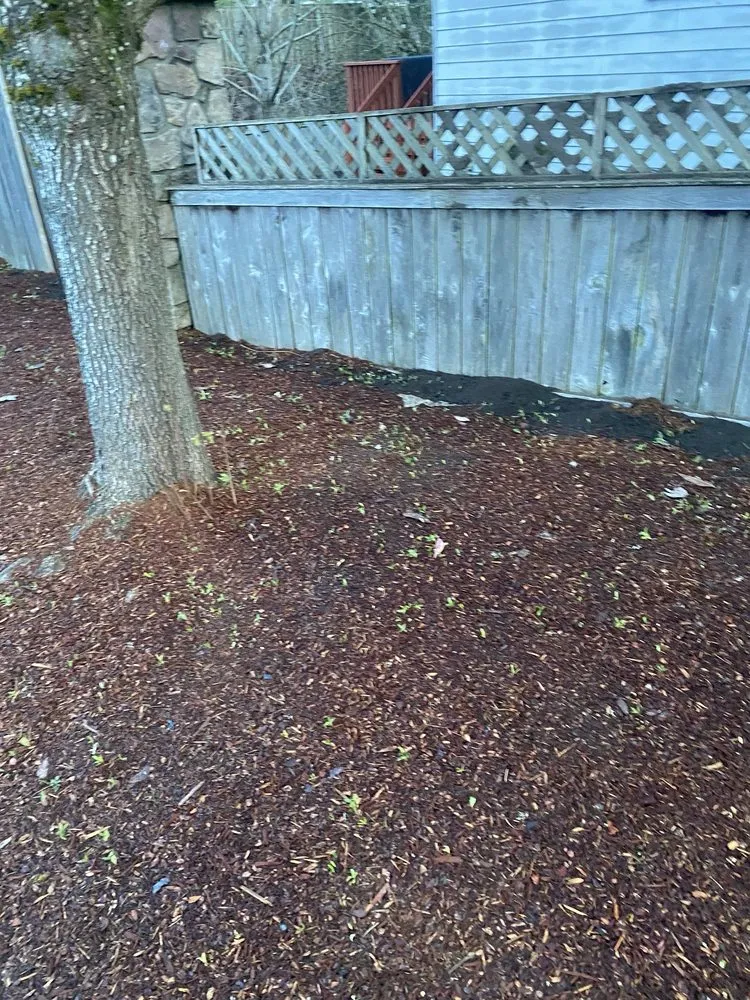 Reliable landscaping services for homes across Salem, OR - 5 Brothers Yard Maintenance