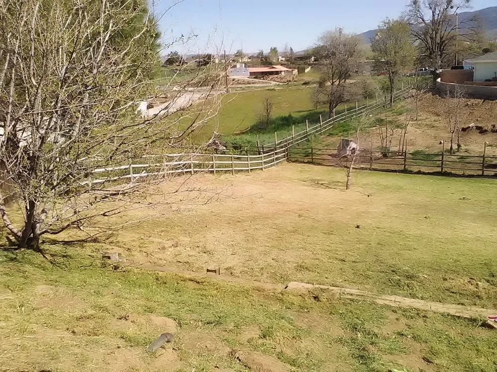 Affordable lawn mowing service in Tehachapi, CA - 5 C's Landscaping