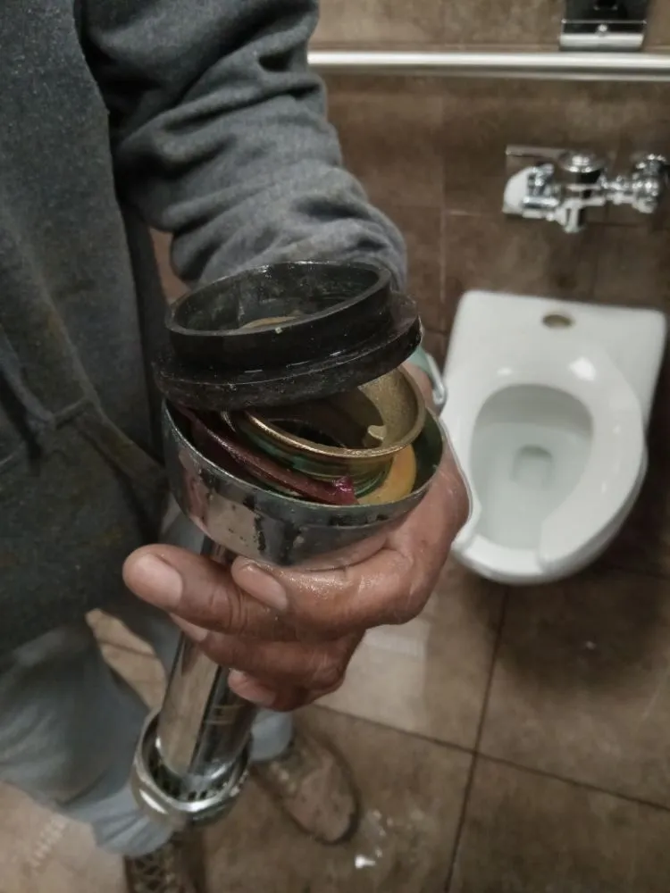 Reliable landscaping services in Martinsville, VA - 5 Guys Property Solutions