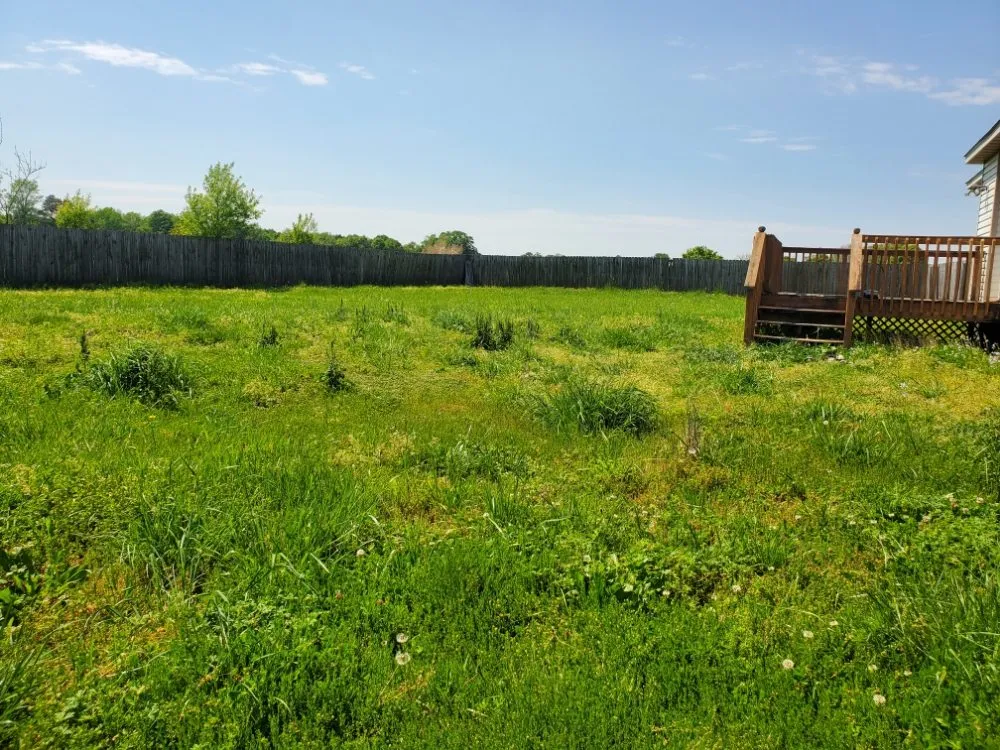 Affordable yard maintenance in Selma, NC by 5% Lawn Care & Landscaping